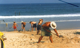 From water's edge to dry beach, Bill Boyd (red trunks, straw hat), Steve Elgar (scrawny guy with white hat), Jerry 'DW' Wanetick (dark hat) , Kimball Millikan (no hat), and Kent Smith (buff tan guy with white hat) digging a trench across the beach at Duck to bury a cable connecting offshore instruments to data acquisition computers located in a trailer at the FRF.