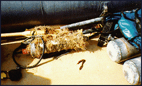 Biological growth ('cooties') on a pressure gage after 2 months in the ocean.