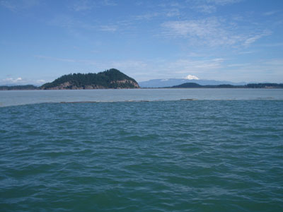 Front between river and bay waters with Ika island in the background.