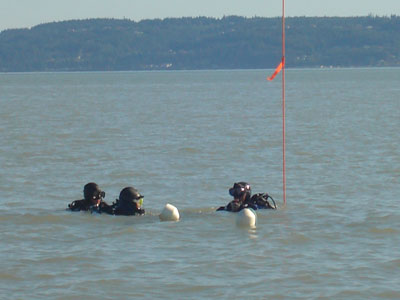 Britt, Bill, and Steve diving to deploy instruments at mid tide.